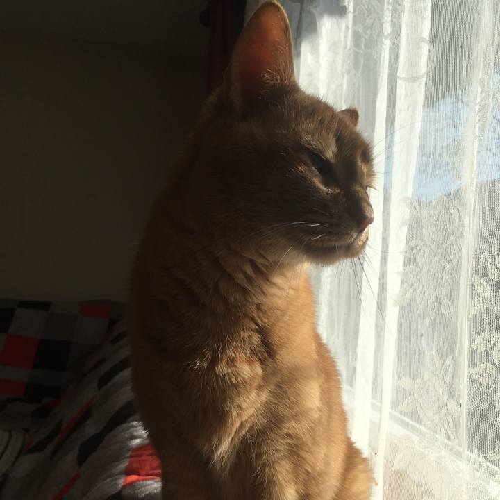 311d525d c266 412b b7f0 dfbe2f2fc07e 1633394940908