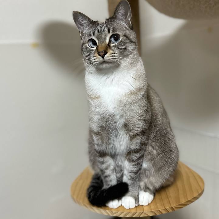 311da987 62ab 44a1 a030 ff45829fec9b 1669463893111