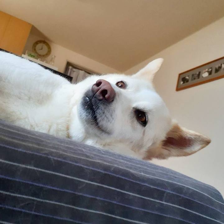 311dbfef 4031 40fd a824 4c48207edb7e 1756550771683