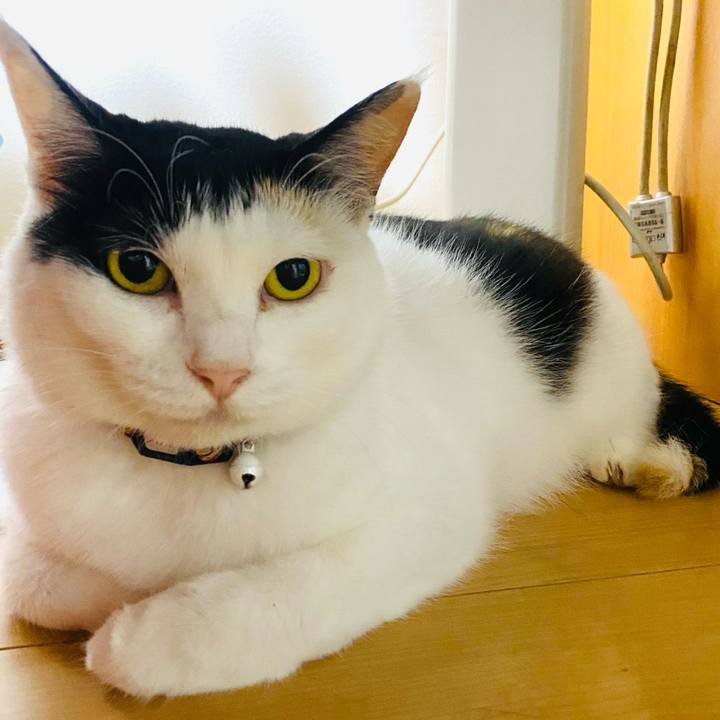 311dc3c3 aabf 416c adcf 793e9e54003b 1657659176763