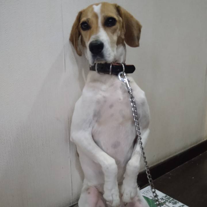 311dc5ea ce57 4c2e 96ec 84532594e3bd 1630553513887