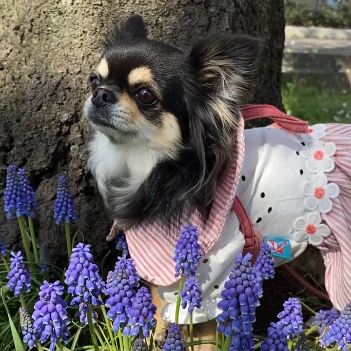 311e02af 392a 4315 b195 9674e453ff41 1617170862465