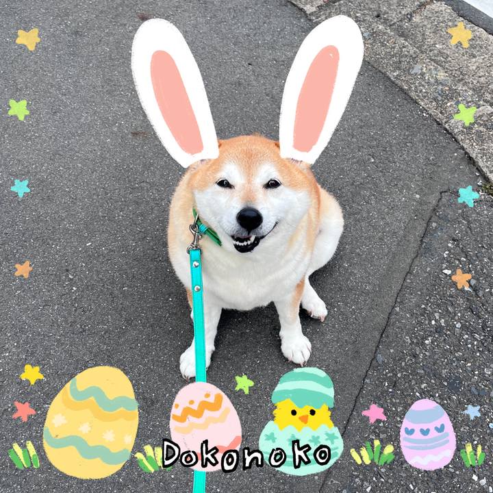 311e9503 e498 48bb 96cd b297c71a2ce0 1712200764560