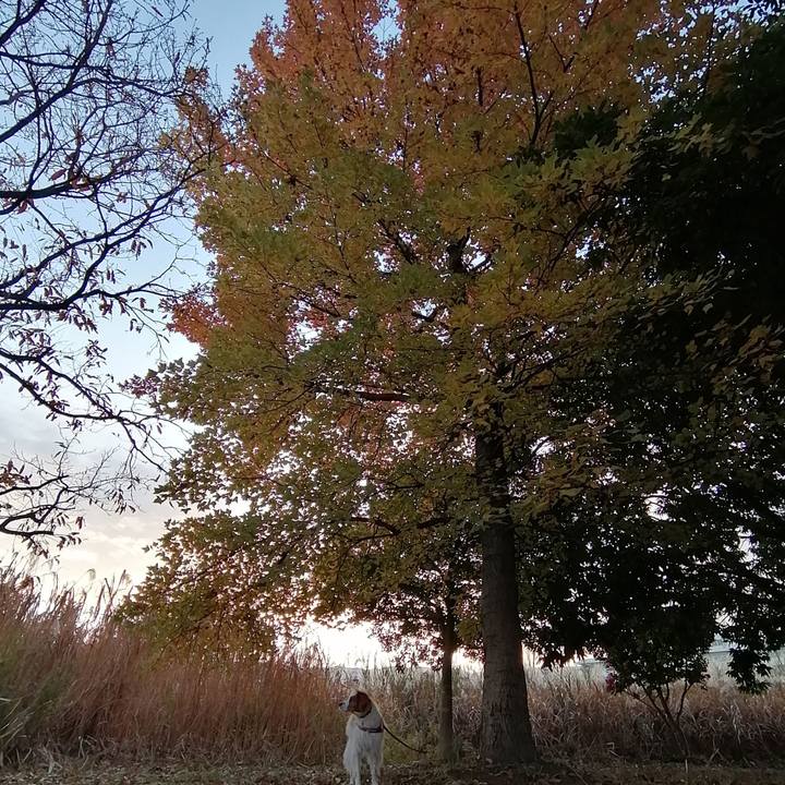 311ee2bf acc8 46fb 955e d7c5705e22a7 1577145971537