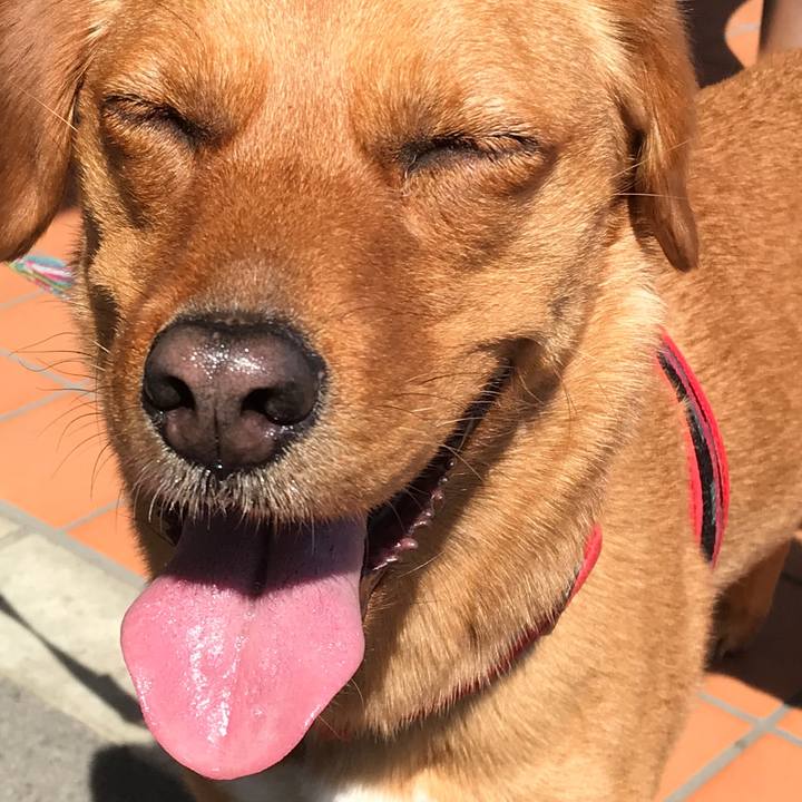 311ef65b 61c6 4ff6 95d2 ddc6f4b08dcd 1523527891861