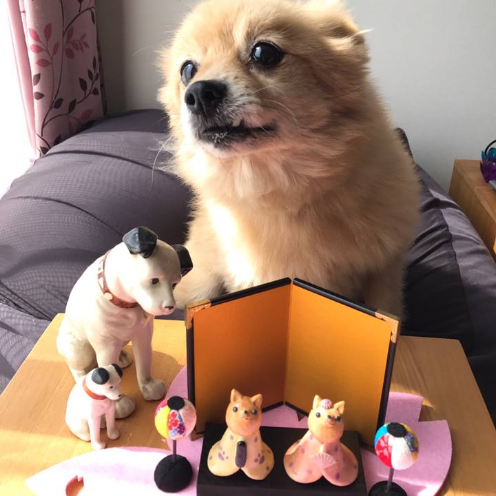 311f1a31 3ca3 4c9d 87a4 8c455d535551 1584255304298