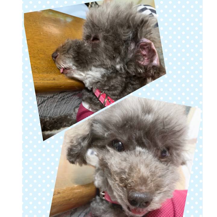 311f21b8 7fce 4fb5 99fc d5a5b7b97f2c 1630325617501