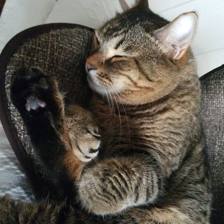 311f2b81 8e4a 4c54 abda adc40bbb2f60 1571461692995