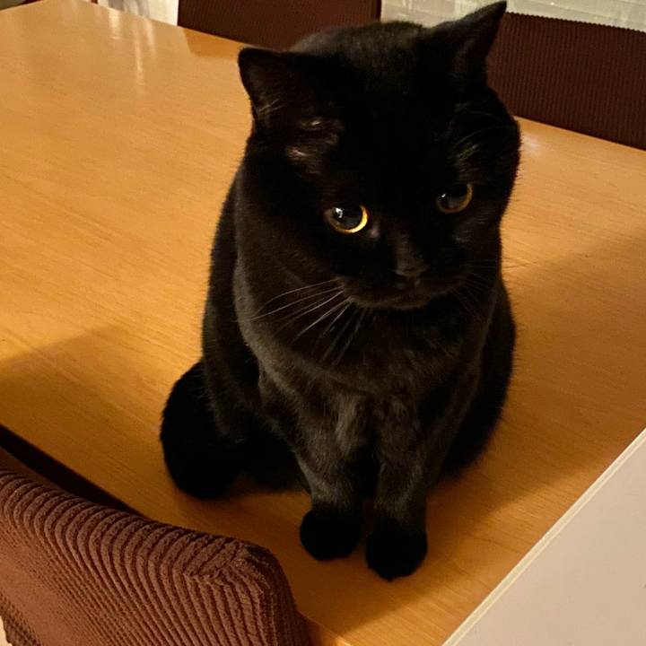 311f8d10 4731 4aed bb96 40437ebfeb15 1677241959434