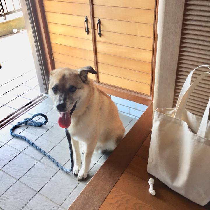 311f8ecc 9d9c 40bd a754 3154db7aefa5 1531049710165