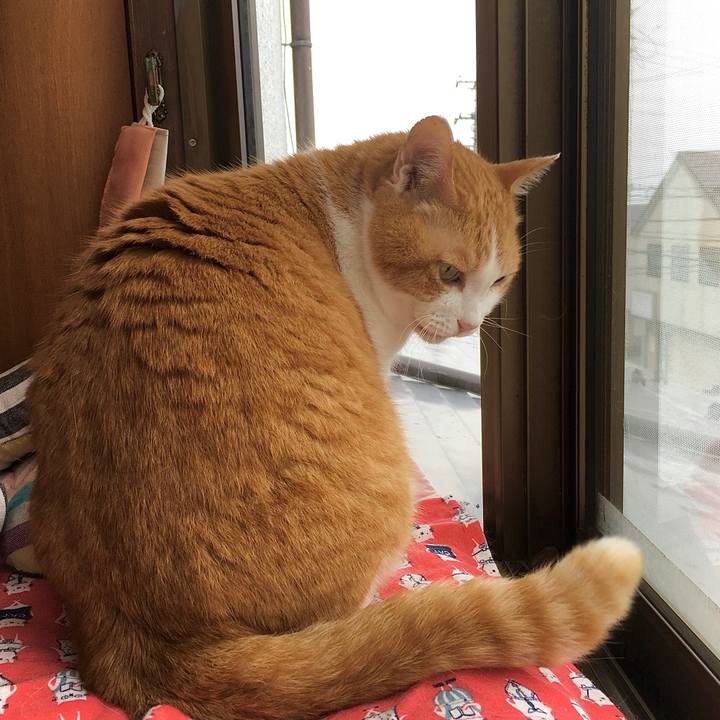 311faa39 221b 4172 80d7 6d7a3e556067 1592866418867