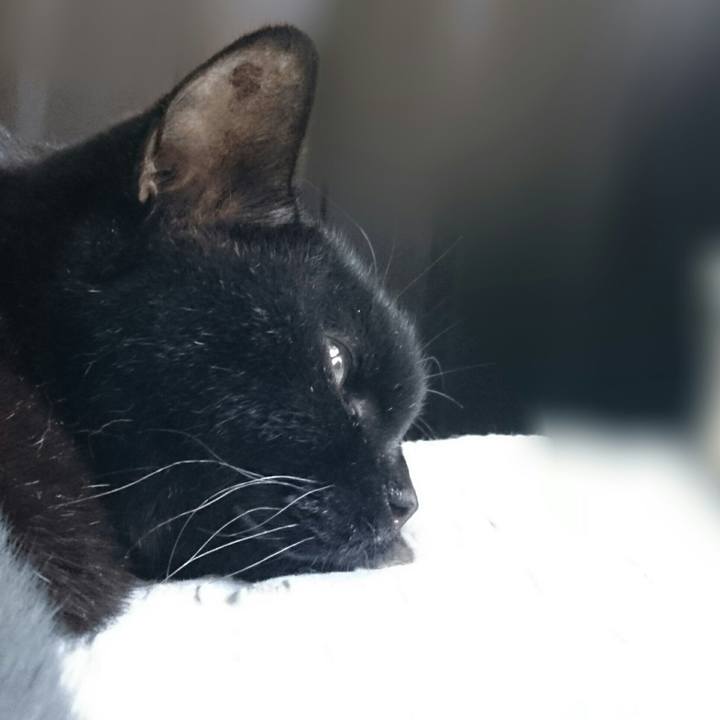 311fb485 46a8 44b3 8432 34fc0e8410d9 1522030938242