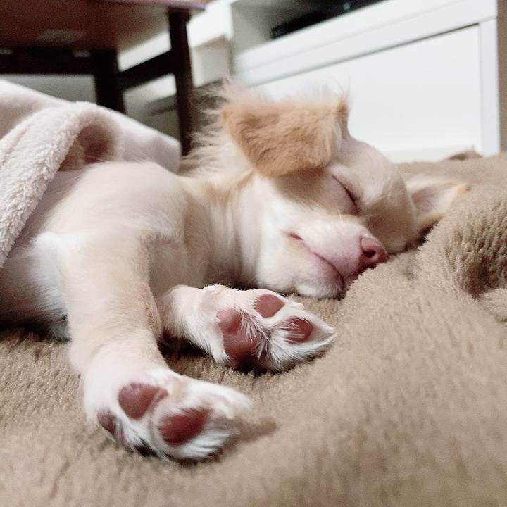 311fb692 1839 435b 9ec1 c39b4f17f9d9 1594904656293