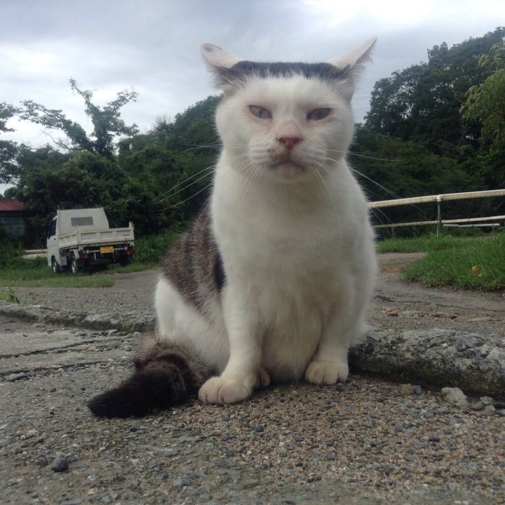 311fe2f2 8ad5 459b 924e b938dbb4b8c1 1531023275550