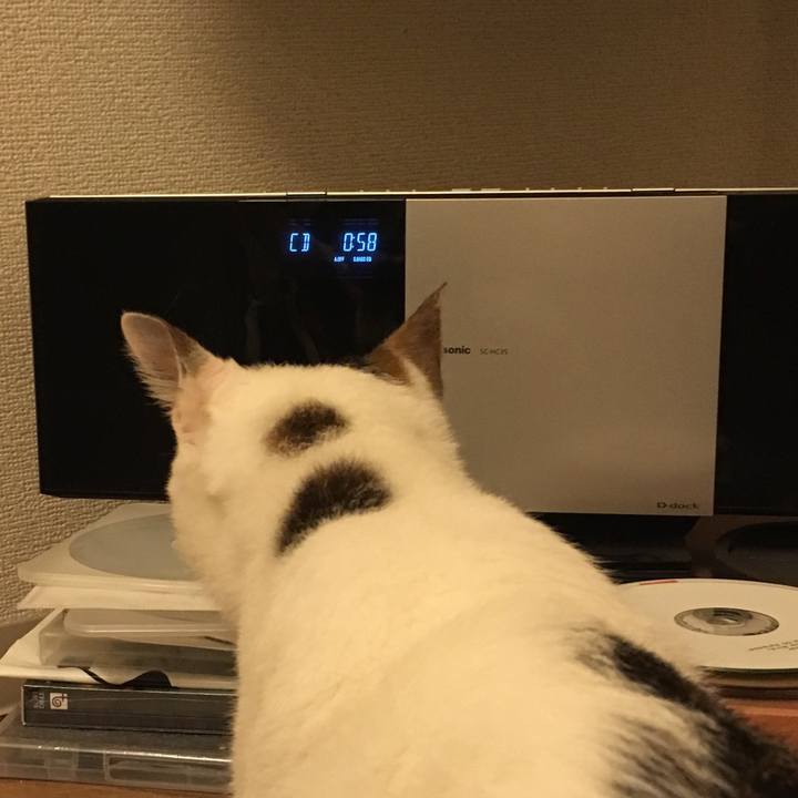 311ff4f2 8e30 46b0 ab58 5a53693afe21 1536674849045