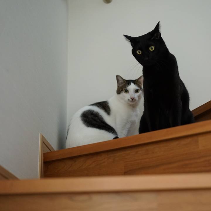 31200f84 9a61 486c 9a31 1656f52d2aab 1552347257763