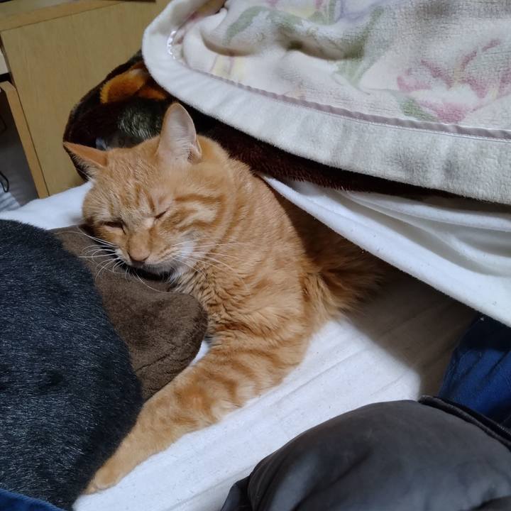 31201612 7a65 436a abb6 dedaec92a089 1702556866290