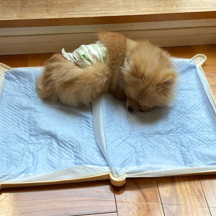 31206608 c34c 4b2b af3c f9365e134c7c 1643260075389