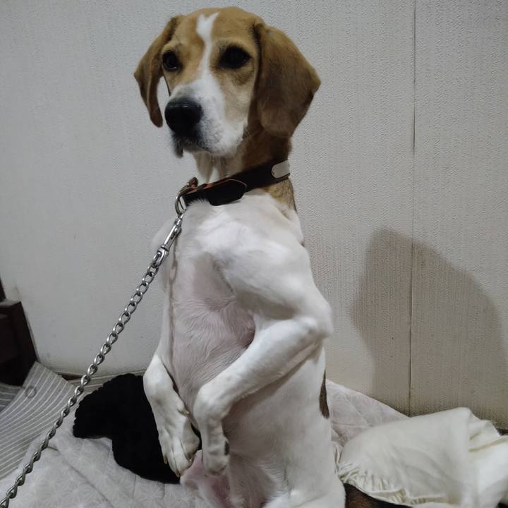 31208496 d02b 4425 b800 aa6865950405 1636899820915