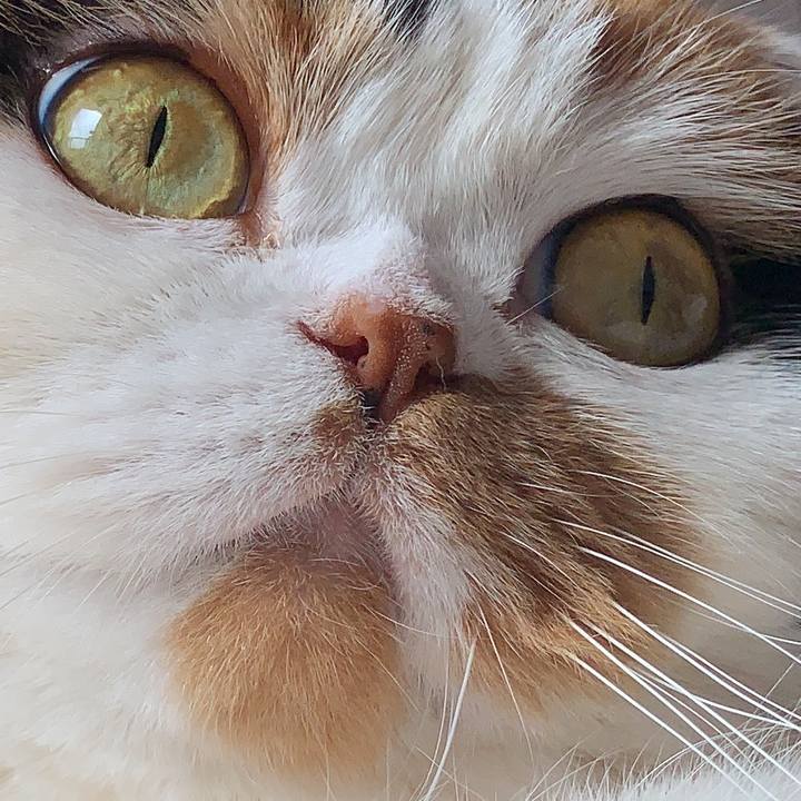 3120cdcd 8403 4a6a 8c50 a9c11e4c6211 1585436221389