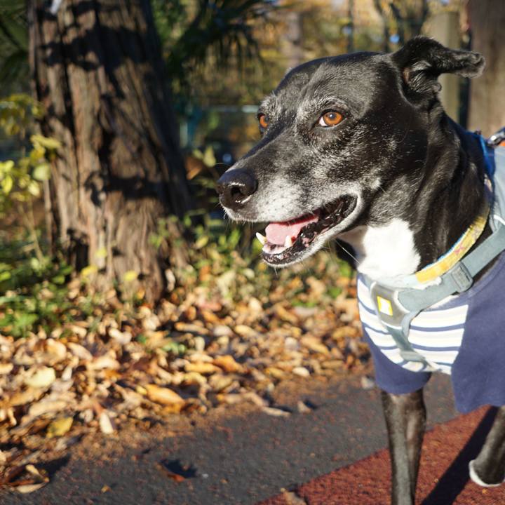 3120ce0e 8e65 4e5b a1e8 880c339b9b76 1764807459502