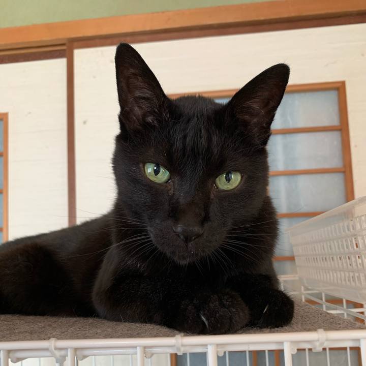 312104e7 34da 4ec1 9d81 c0a0b2ffd545 1596588023305