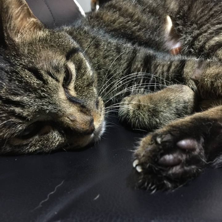 3121244e 11d7 4e37 b950 d5d36c454880 1534072548216