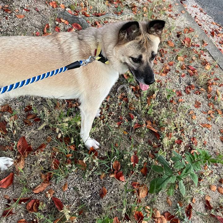 312127de 39b4 40c2 aebb 4927ea8ac2ec 1663157790765