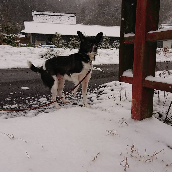 3121397c 307b 4e74 b0d2 778683248c19 1580946254964