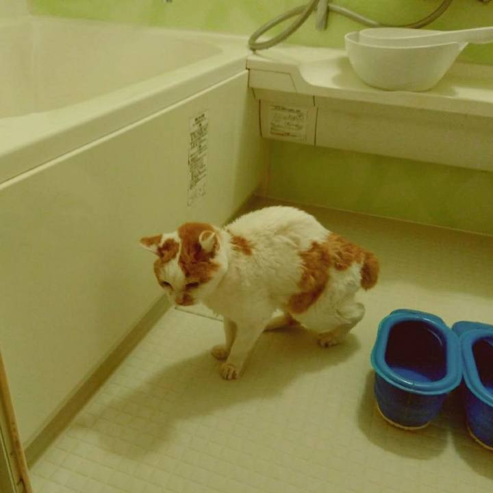 3121604e 3a87 4bb7 a089 29ba86f5e1d2 1592917356700