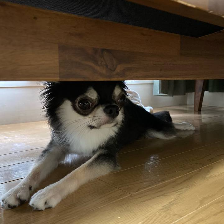 3121726c 5e9d 4b7f 8e0f da2dd4e18f7a 1630729522499