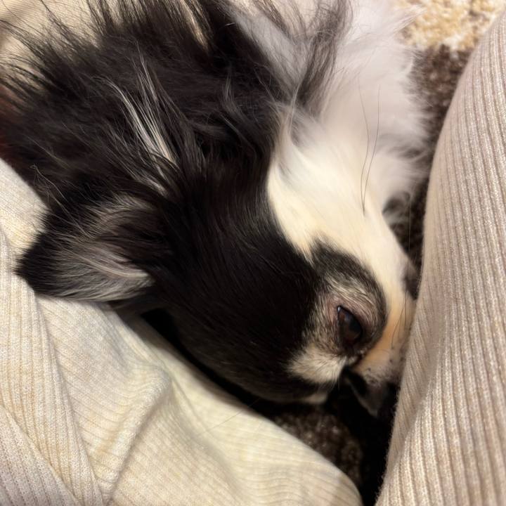 31218e87 7cc2 4f1e 9c40 57986ff2716a 1745167457590