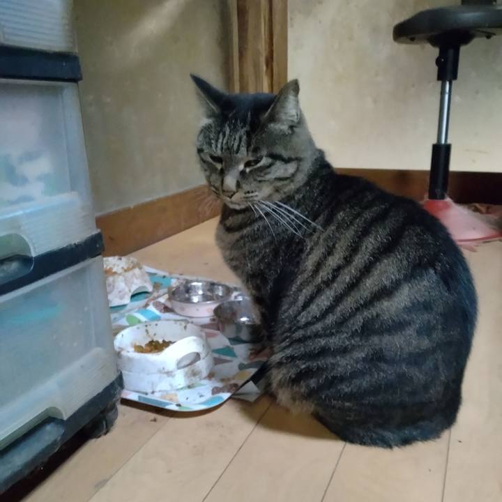 3121adad 5508 40a5 8b3e e2070a19eb31 1668161070275