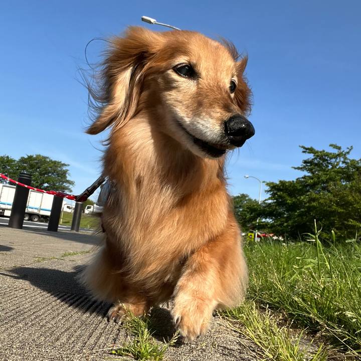 3121c3c3 36e9 4a9c aaa9 8e8857608b26 1683295036889