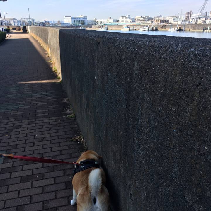 31221e87 699e 43b8 bedc d988f0903205 1611544724450