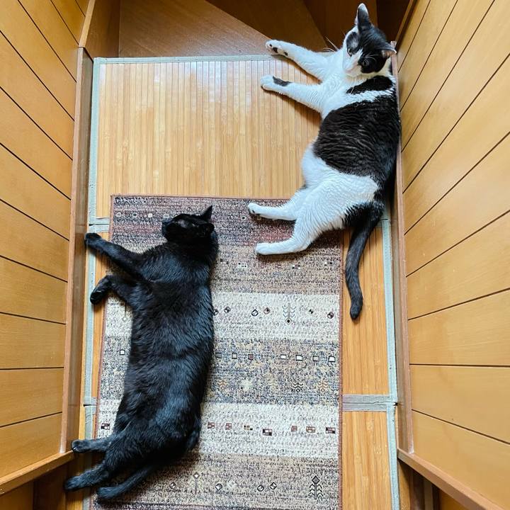 31225096 52cc 492c aa54 b6cde5dc0742 1657850300593