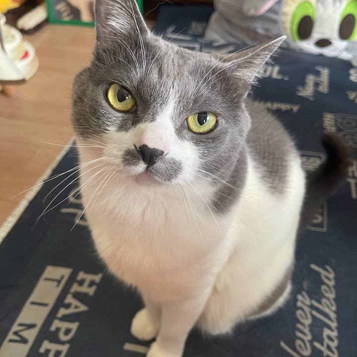 31225a0f 78fb 4325 82cf 851b7e6e92db 1747537812718