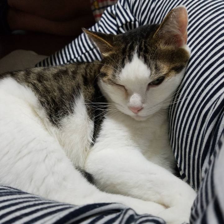 31225e6b fe31 49b0 a4e0 f3e08edb1087 1569063843674