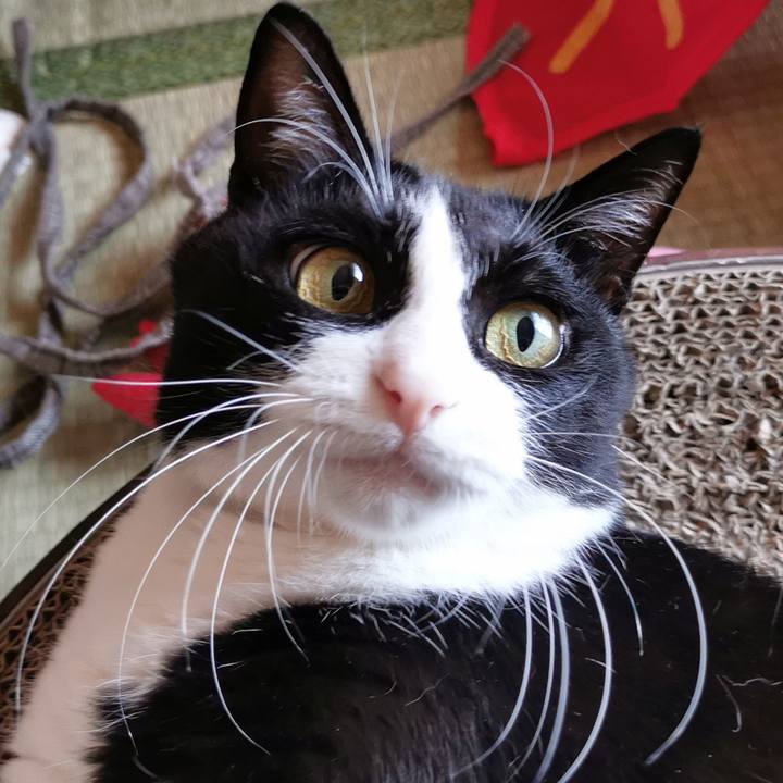 31229a06 b07d 44d6 a6f5 06d7a8233540 1663647194075