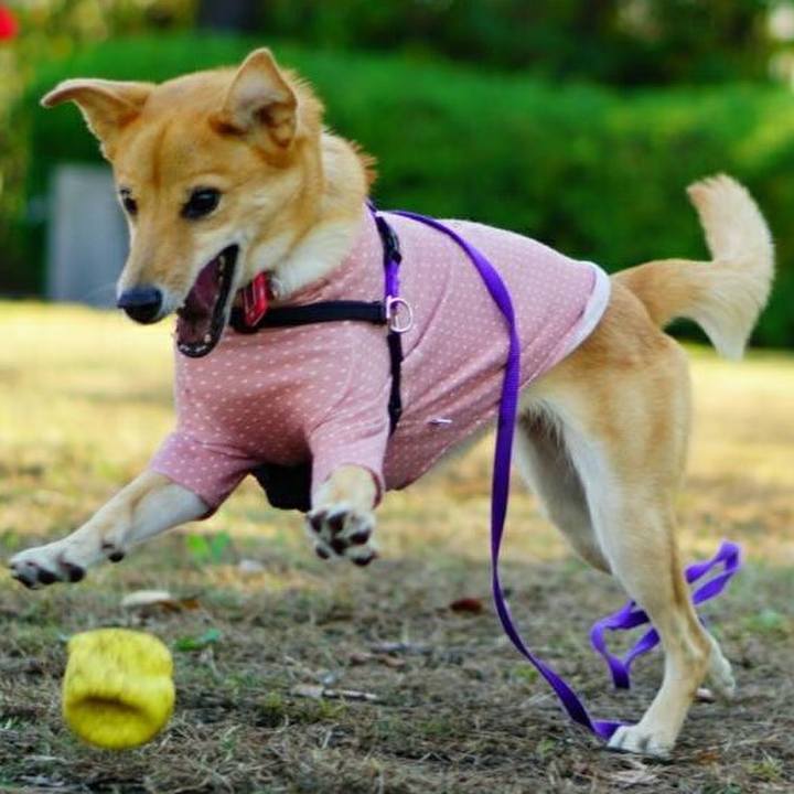 3122c571 fce7 4dc7 9db4 590f79dd2da7 1541314276549