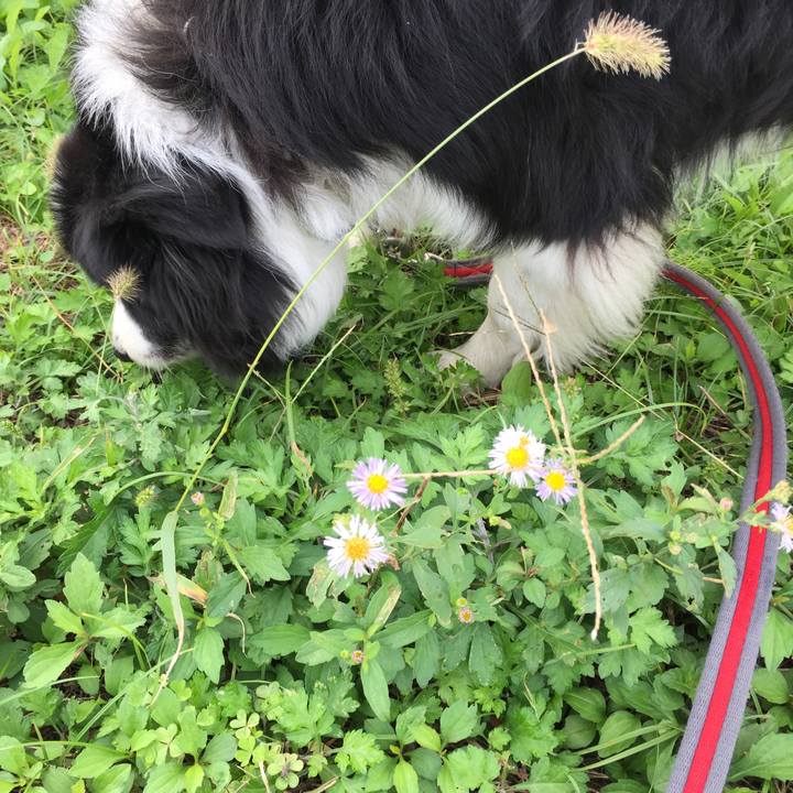 3122e298 0732 4921 9ef7 dc86c761eb0d 1571616997071