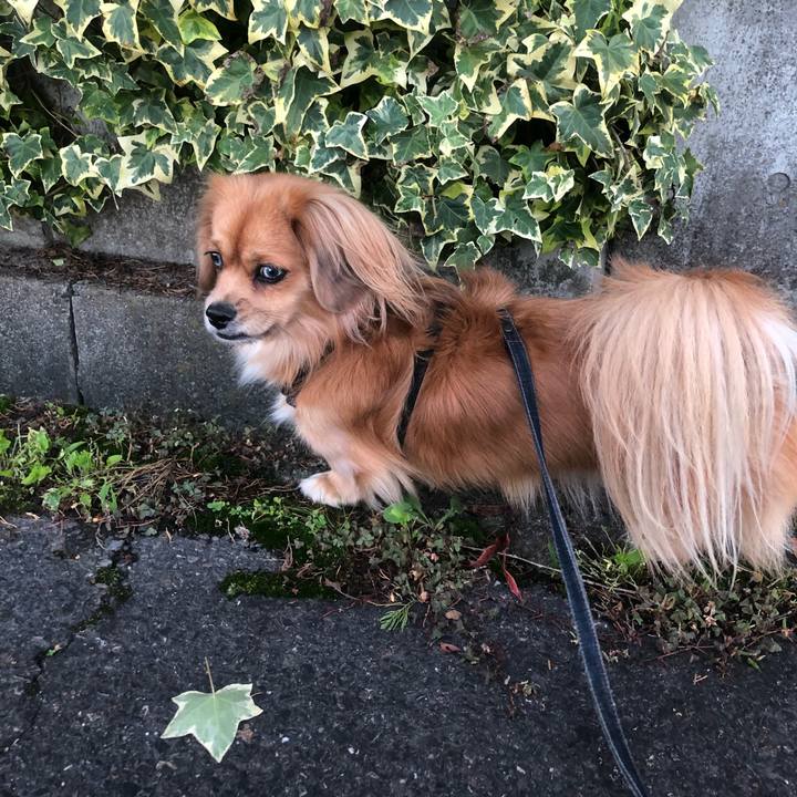 31232078 570a 44f2 9bd5 ed8877b652a5 1540417424066