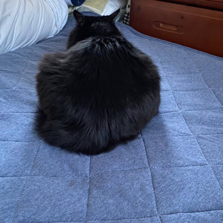 312343ca 8bdf 4615 a438 3247fbe5f4fd 1586251464139