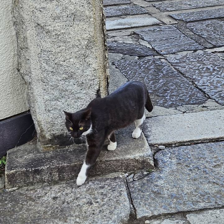 3123549a 9bb2 4058 b2fa e464fa20fdf9 1702192665968