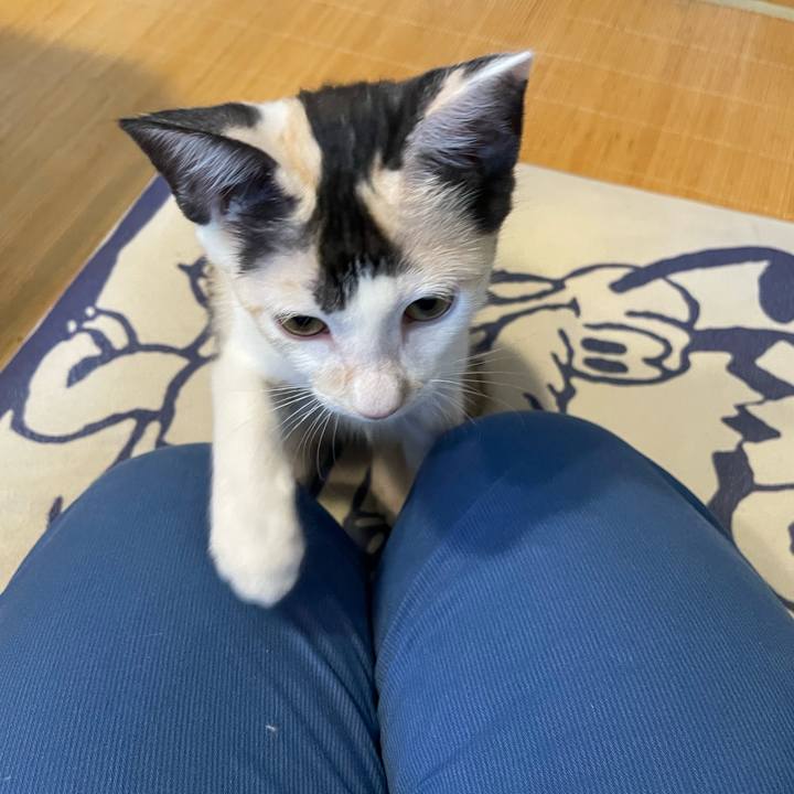 312362a7 eb2b 4a20 b47d 5a06a975204c 1660984827809