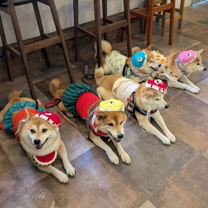 31236c20 212d 479e 9cb3 aa9effd773a6 1754579220062