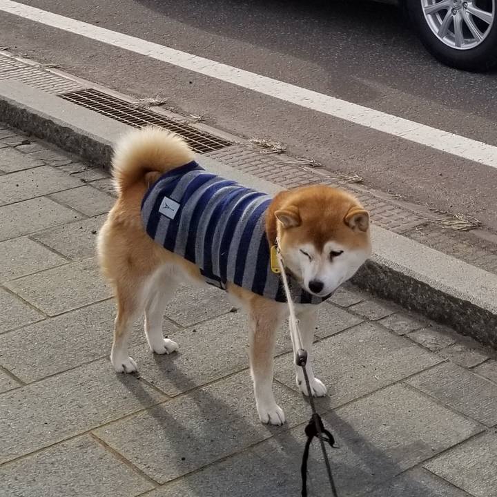 31238911 f528 4deb a2e8 7c795978ac17 1578635603851