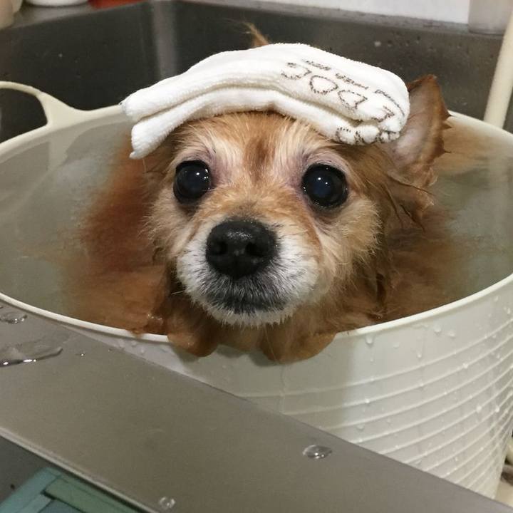 31239122 95c8 4a7d b9c3 90879e1d75fa 1543187938909