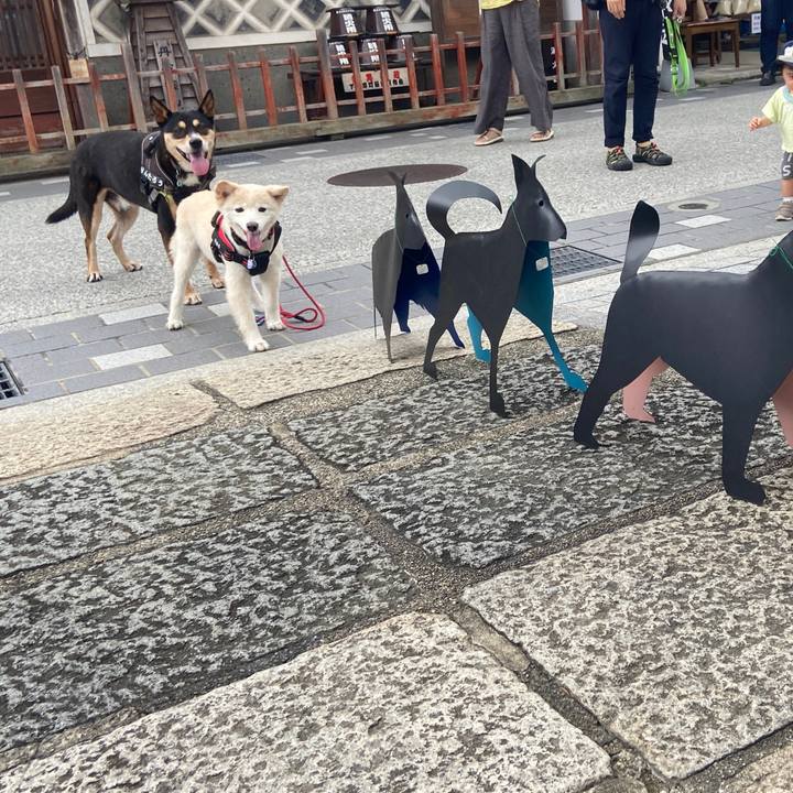 31239175 014e 46bb 8717 5fd5e5066206 1726878656229