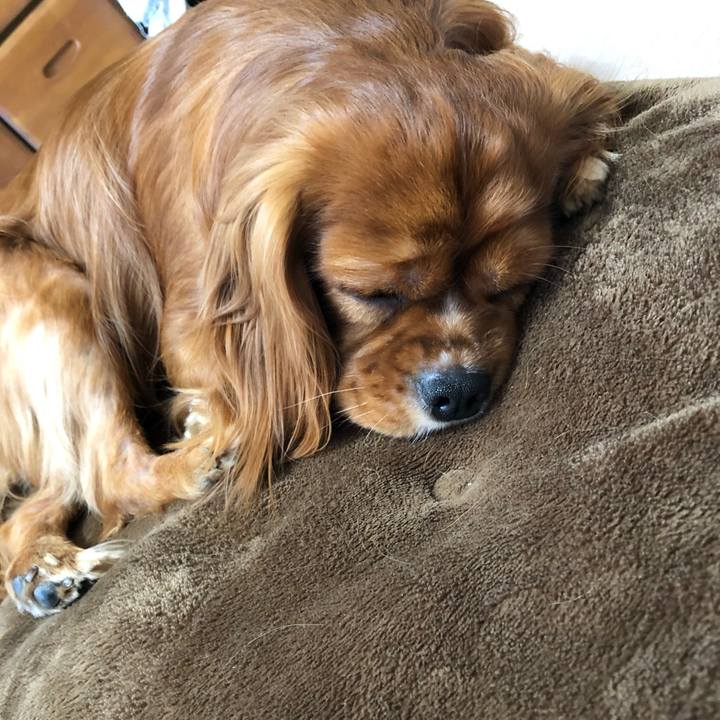 312391d8 96cd 4b83 9f52 377023d69bb8 1559512677975